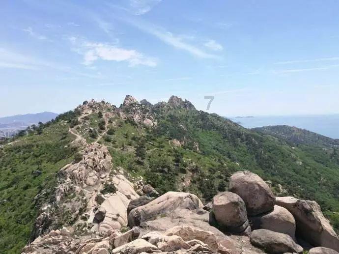 买不起盆景,我还不能自己动手做了(附图附心得)